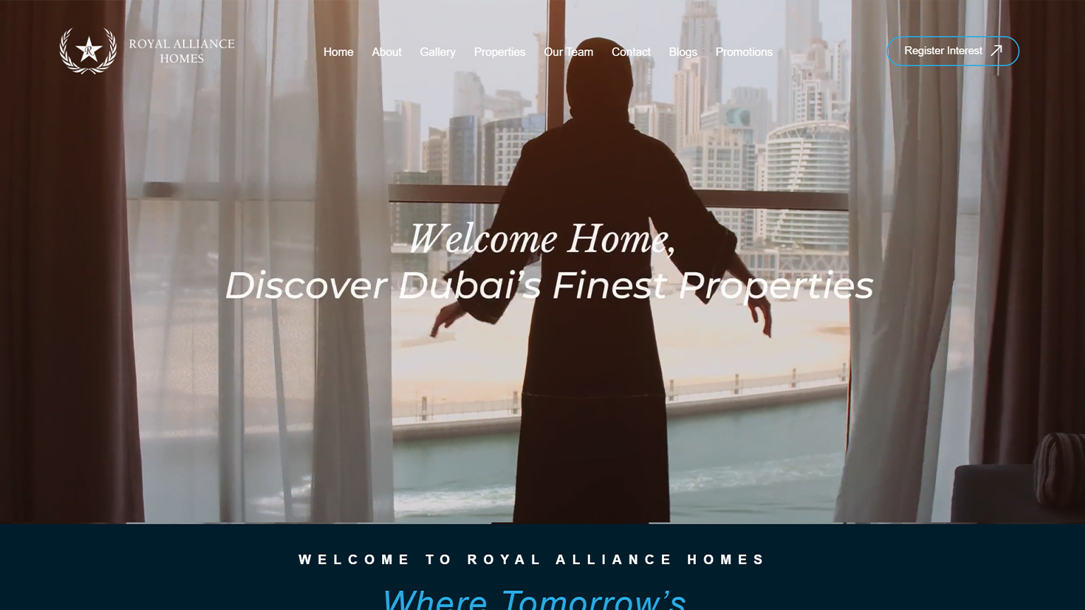 Website development